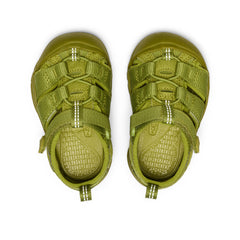Toddlers' Newport H2 Golden Cypress Monochrome / Keen