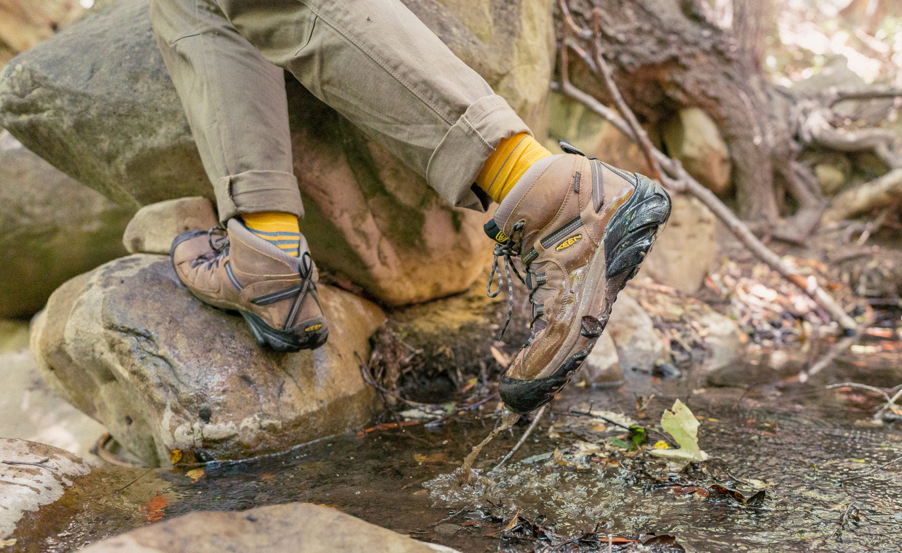 Men's Targhee II Waterproof Mid Wide Shitake/Brindle / Keen