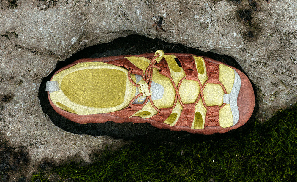 Women's Hyperport H2 Sandal x Hiking Patrol Algae Green / Keen