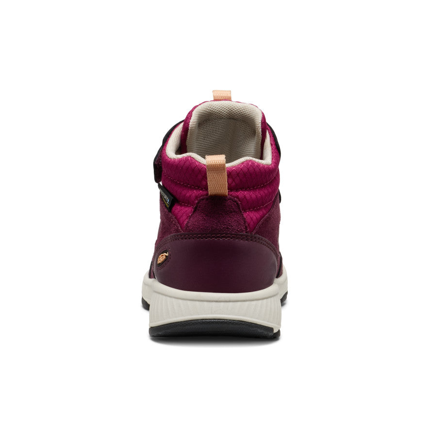 Little Kids' Skua Waterproof Boot Fig/Peach Fuzz / Keen