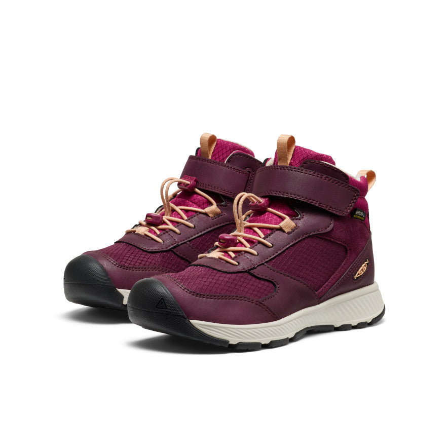 Big Kids' Skua Waterproof Boot Fig/Peach Fuzz / Keen