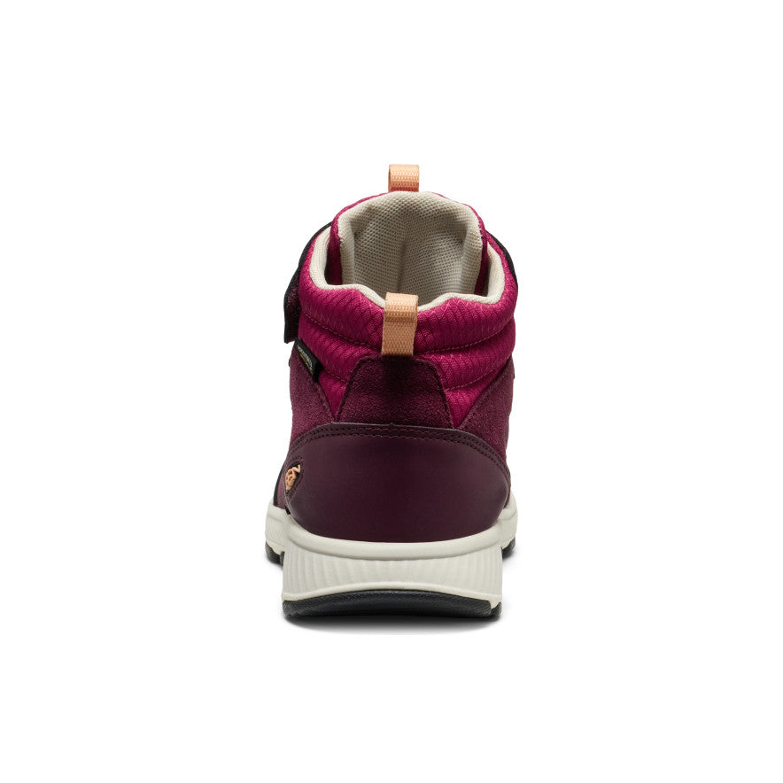 Big Kids' Skua Waterproof Boot Fig/Peach Fuzz / Keen