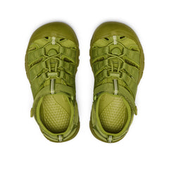 Big Kids' Newport H2 Golden Cypress Monochrome / Keen